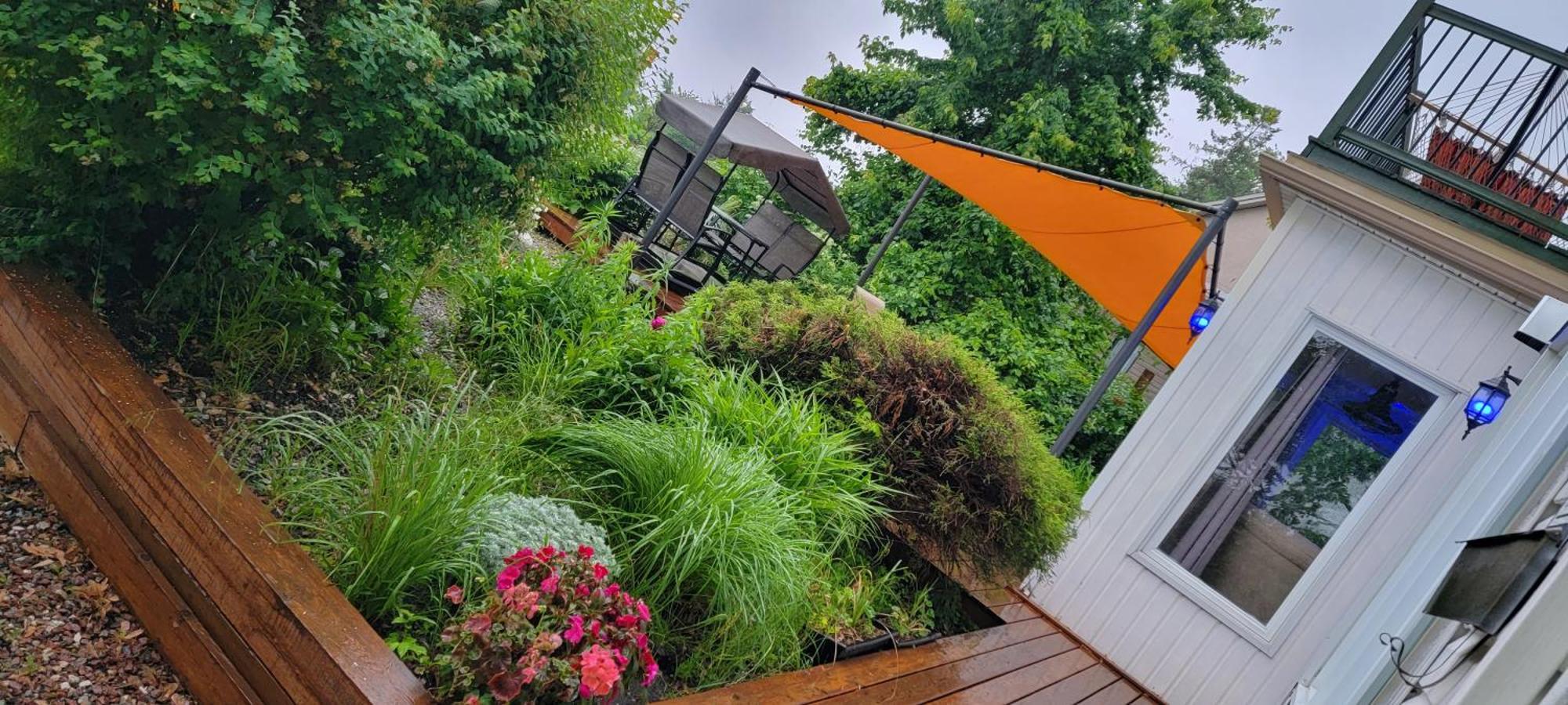 Kokomo Inn Bed And Breakfast Ottawa-Gatineau'S Only Tropical Riverfront B&B On The National Capital Cycling Pathway Route Verte #1 - For Adults Only - Chambre D'Hotes Tropical Aux Berges Des Outaouais Bnb #17542O Exteriér fotografie
